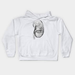 Pen and Ink Kidney Illustration/Sketch Kids Hoodie